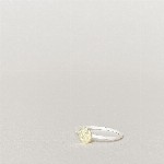 Jewel: ring textured slice foto 3