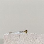 Jewel: ring golden bubbles foto 2