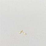 Jewel: earpins balls solid gold foto 1