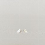 Jewel: earpins hearts foto 3