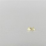 Jewel: earpins golden hearts foto 3