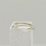Jewel: ring of rings gold foto 2