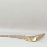 Jewel: earrings spoons gold foto 1